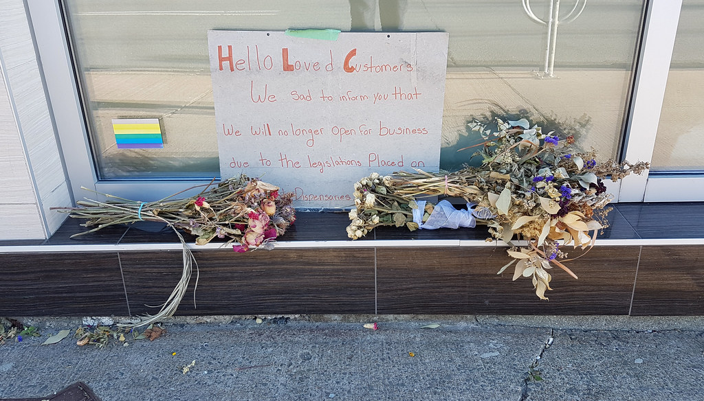 3 days before legal cannabis in Canada: closure of a Halifax cannabis dispensary